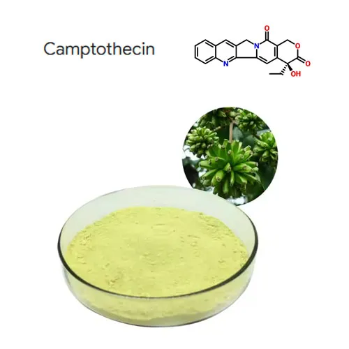 اعلی طہارت 98 ٪ کیمپٹوٹیسن پلانٹ ایکسٹریکٹ پاؤڈر کاس 7689-03-4